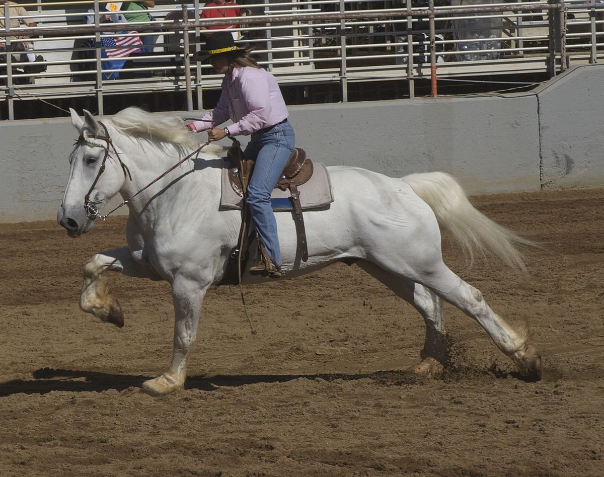 Draft Horse Barrel Racing @Annual Draft Horse Show, Georgia National Fair